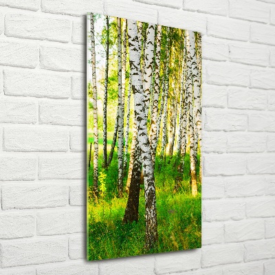 Quadro in vetro verticale Foresta di betulle