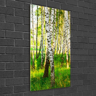Quadro in vetro verticale Foresta di betulle