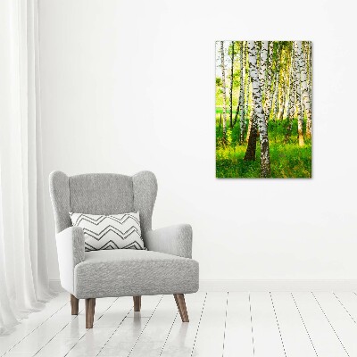 Quadro in vetro verticale Foresta di betulle