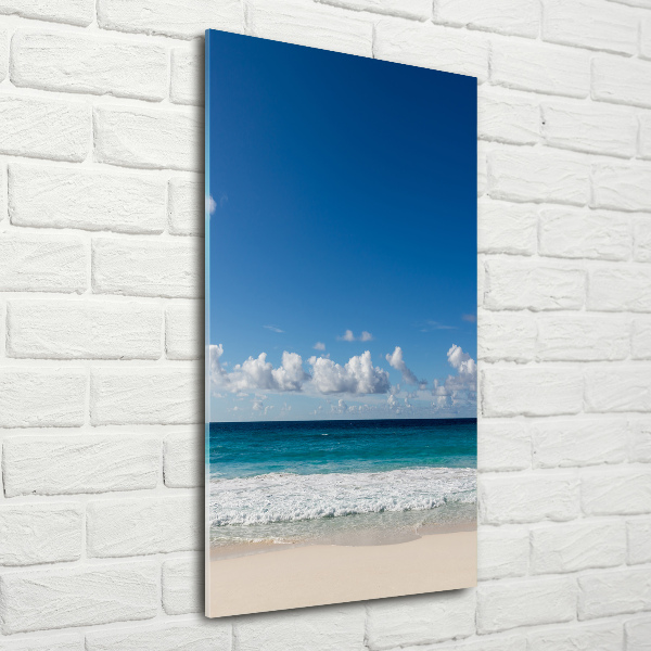 Quadro di vetro verticale Spiaggia tropicale