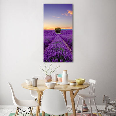 Quadro di vetro verticale Campo di lavanda