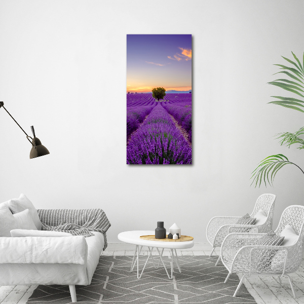 Quadro di vetro verticale Campo di lavanda