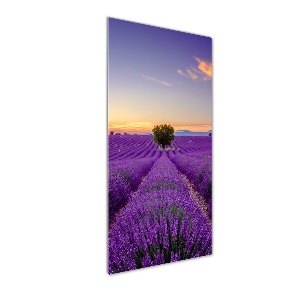 Quadro di vetro verticale Campo di lavanda