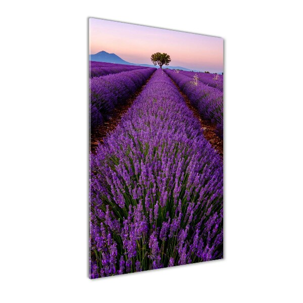 Quadro stampa su vetro verticale Campo di lavanda