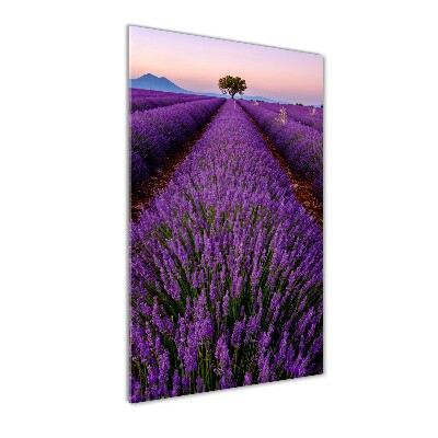 Quadro stampa su vetro verticale Campo di lavanda