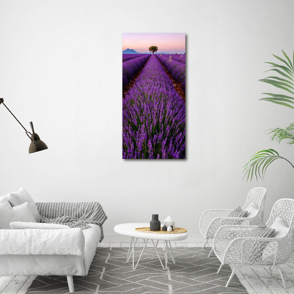 Quadro stampa su vetro verticale Campo di lavanda