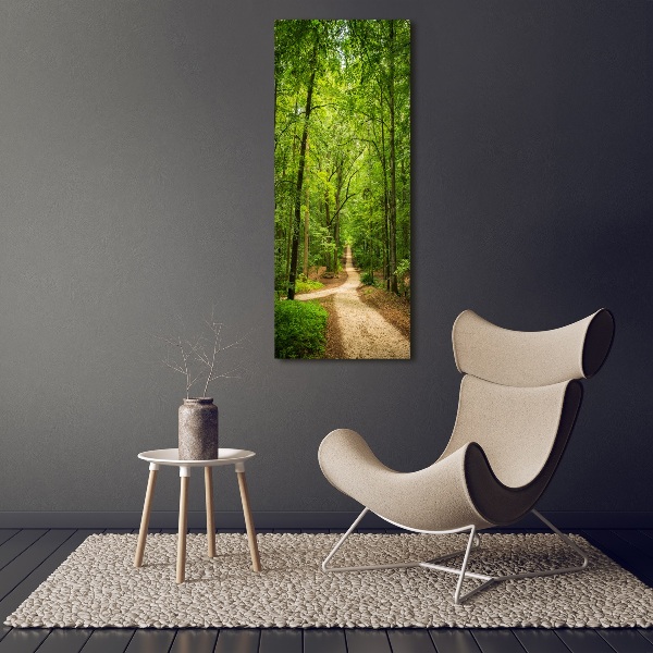 Quadro in vetro verticale Sentiero nella foresta