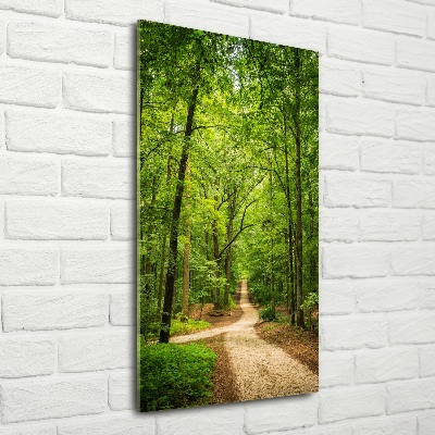 Quadro in vetro verticale Sentiero nella foresta