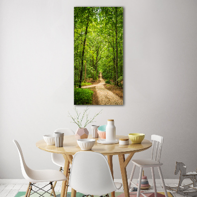 Quadro in vetro verticale Sentiero nella foresta