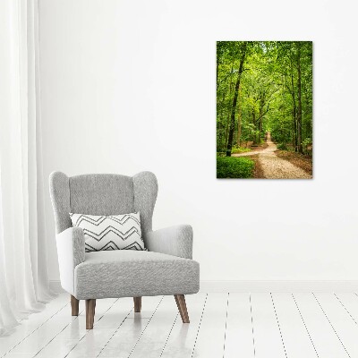 Quadro in vetro verticale Sentiero nella foresta