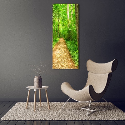 Quadro di vetro verticale Sentiero nella foresta