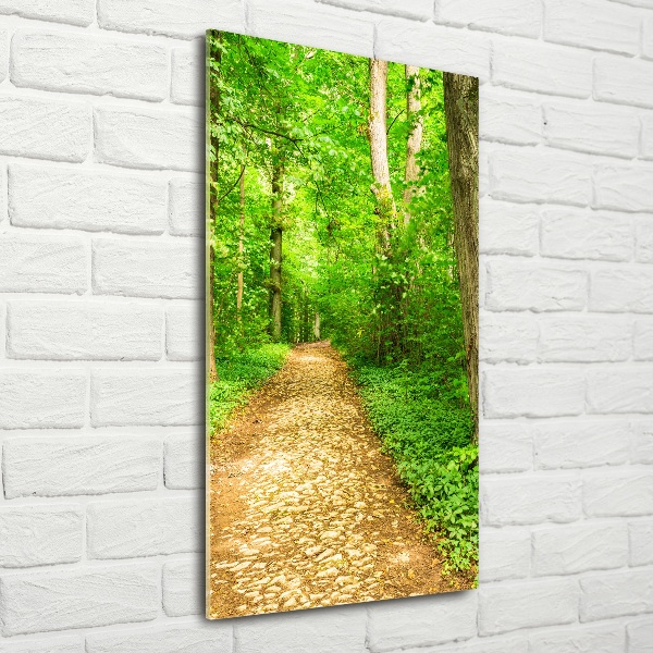 Quadro di vetro verticale Sentiero nella foresta