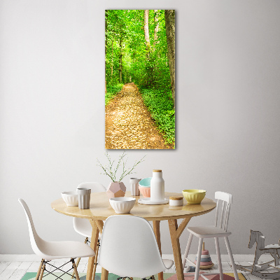 Quadro di vetro verticale Sentiero nella foresta