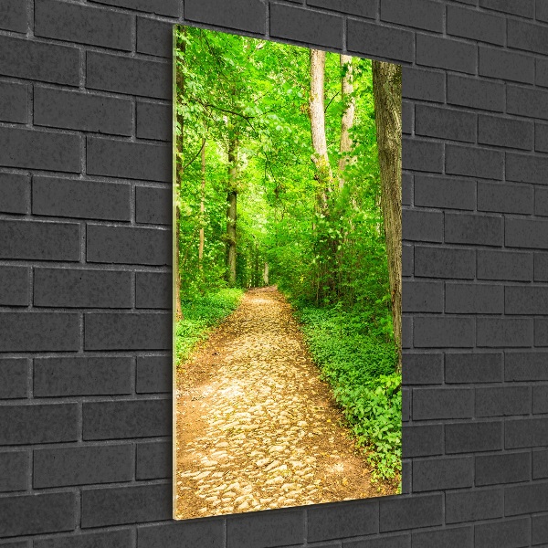 Quadro di vetro verticale Sentiero nella foresta