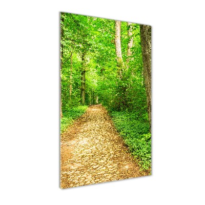 Quadro di vetro verticale Sentiero nella foresta