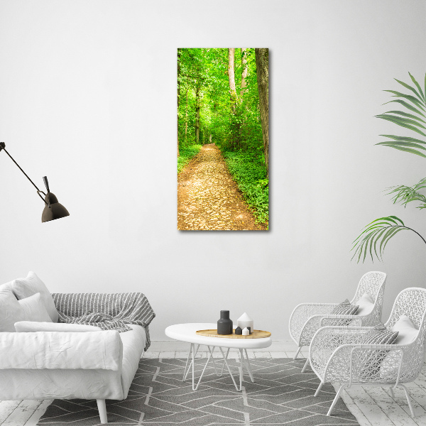 Quadro di vetro verticale Sentiero nella foresta