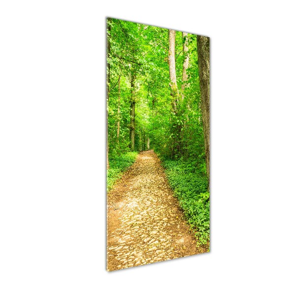Quadro di vetro verticale Sentiero nella foresta