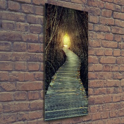 Quadro stampa su vetro verticale Sentiero nella foresta