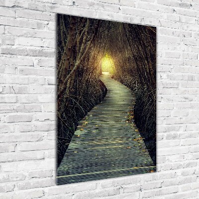 Quadro stampa su vetro verticale Sentiero nella foresta