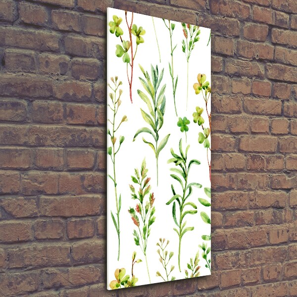 Quadro di vetro verticale Erbacce ed erbe aromatiche