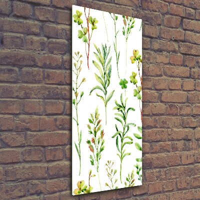 Quadro di vetro verticale Erbacce ed erbe aromatiche