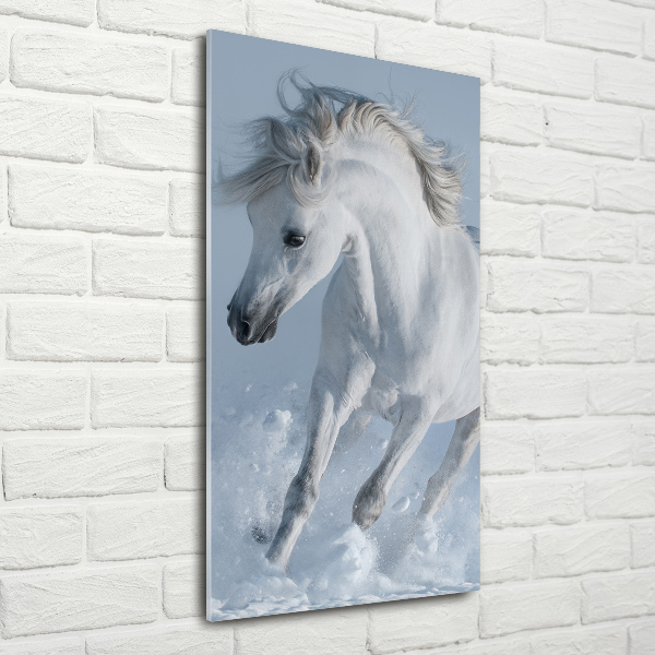 Quadro stampa su vetro verticale Un cavallo bianco al galoppo