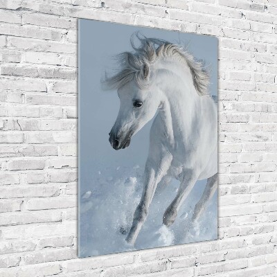 Quadro stampa su vetro verticale Un cavallo bianco al galoppo