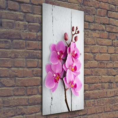 Quadro in vetro verticale Orchidea rosa