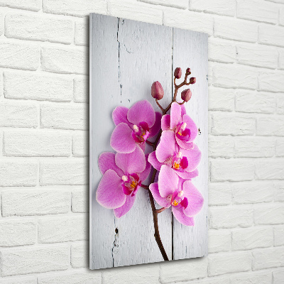 Quadro in vetro verticale Orchidea rosa