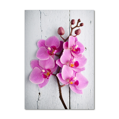 Quadro in vetro verticale Orchidea rosa