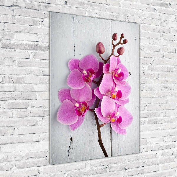 Quadro in vetro verticale Orchidea rosa