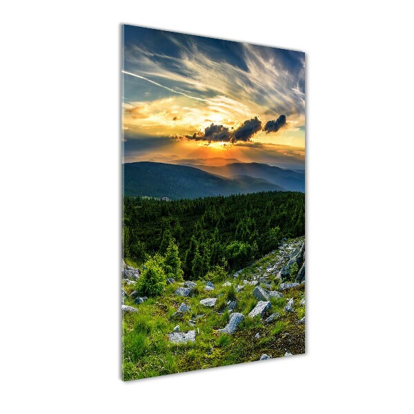 Quadro di vetro verticale Panorama delle montagne