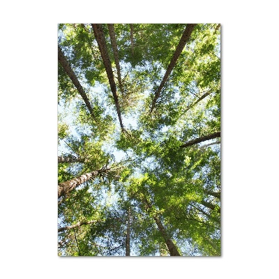 Quadro stampa su vetro verticale Chioma dell'albero