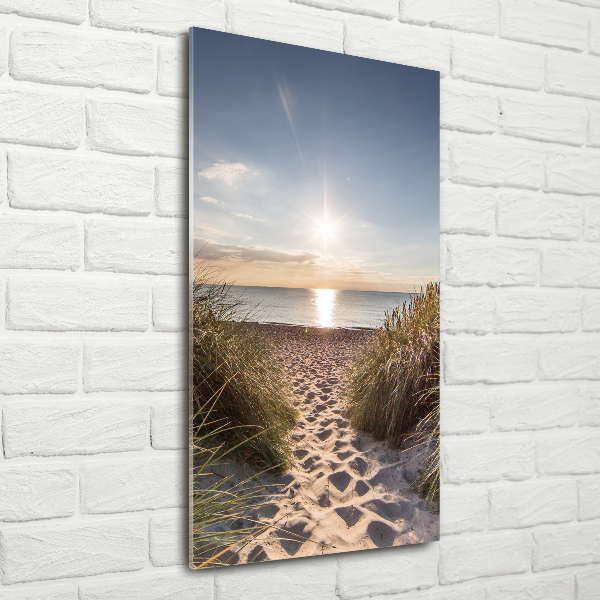 Quadro vetro verticale Dune costiere