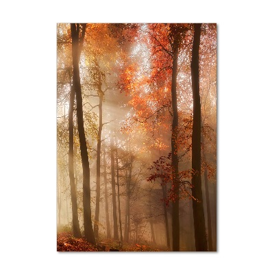 Quadro in vetro verticale Foresta in autunno
