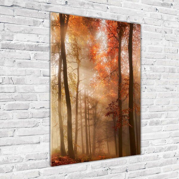 Quadro in vetro verticale Foresta in autunno