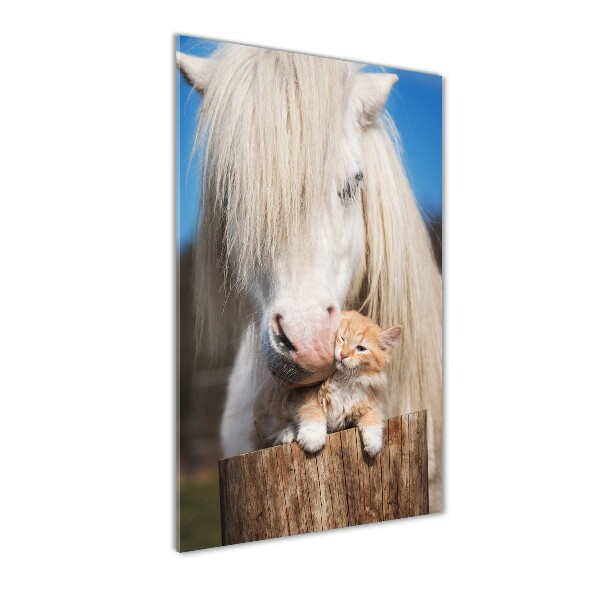 Quadro di vetro verticale Cavallo bianco con un gatto