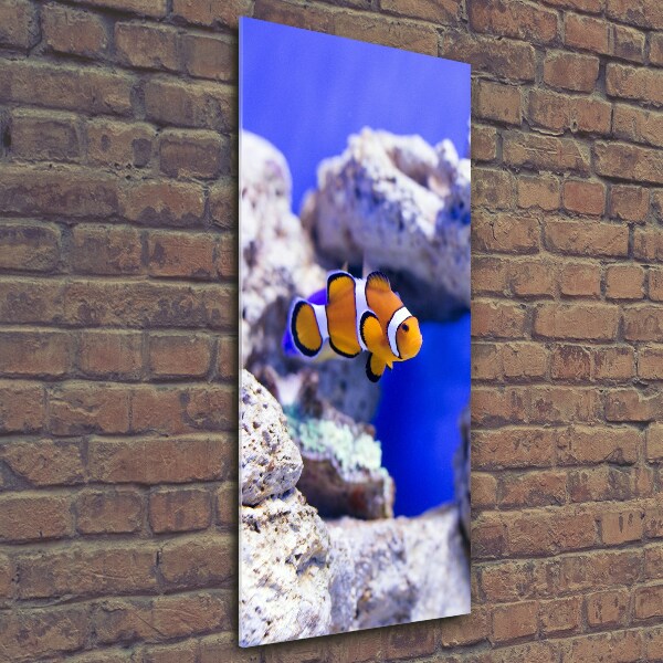 Quadro in vetro verticale Nemo il pesce