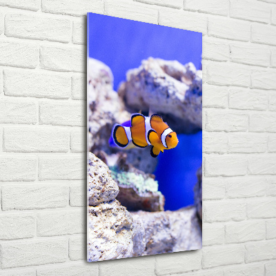 Quadro in vetro verticale Nemo il pesce