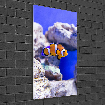 Quadro in vetro verticale Nemo il pesce