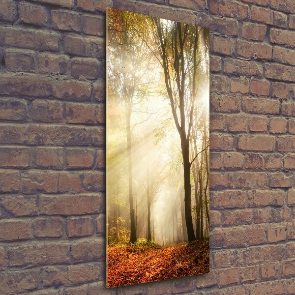 Quadro di vetro verticale Foresta in autunno