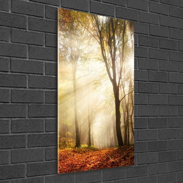 Quadro di vetro verticale Foresta in autunno