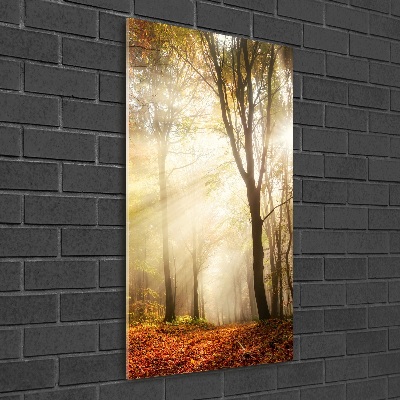 Quadro di vetro verticale Foresta in autunno
