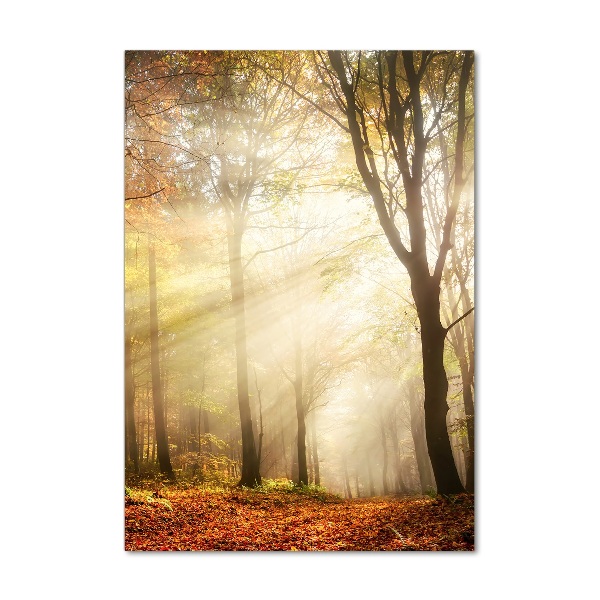 Quadro di vetro verticale Foresta in autunno