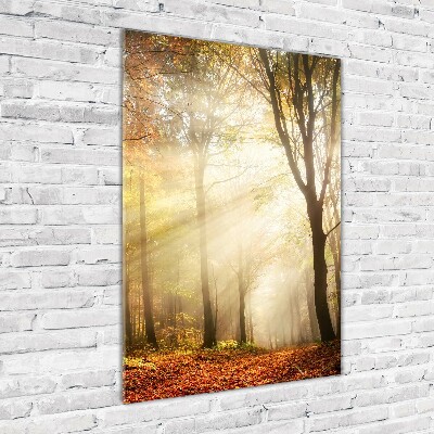 Quadro di vetro verticale Foresta in autunno