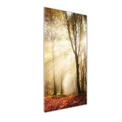 Quadro di vetro verticale Foresta in autunno