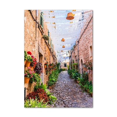 Quadro stampa su vetro verticale Maiorca, Spagna