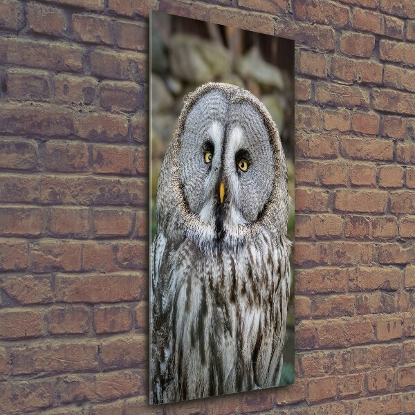 Quadro di vetro verticale Gufo