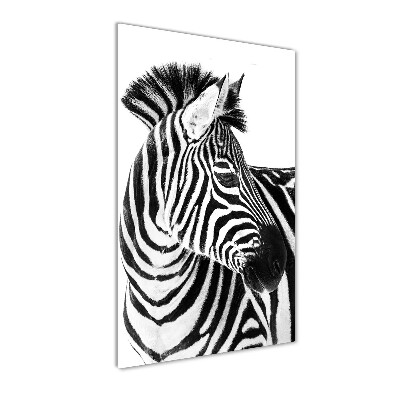 Quadro in vetro verticale Zebra nella neve