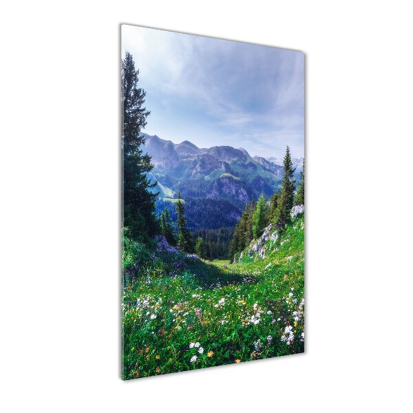 Quadro vetro verticale Alpi